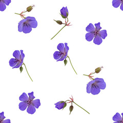 Seamless pattern with blue  flax flowers