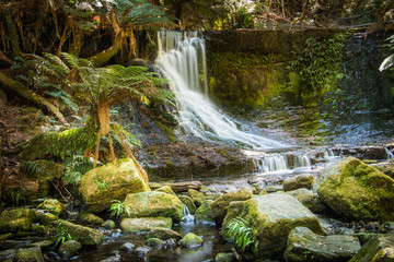 Horseshoe falls Tasmania