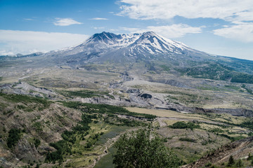 Beautiful landscape with the Mount St. Helens volcano, mountains, green grass, purple flowers and blue sky in a sunny day.
