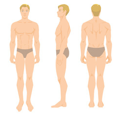 Vector illustration of young man in underwear isolated on white background. Various turns man's figure. Front view, side and back view.
