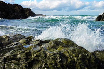 Fototapeta na wymiar Rocky seashore with waves at Port Macquarie Australia