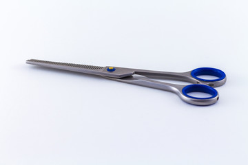 Scissors Steel Professional Isolated on White Background 