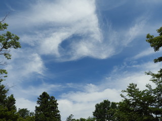 雲