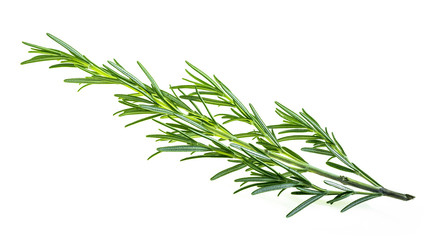 A twig rosemary, culinary herbs