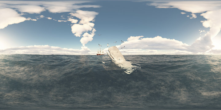 360 Grad Panorama mit Pottwal, Seem&ouml;wen und Segelwalf&auml;nger