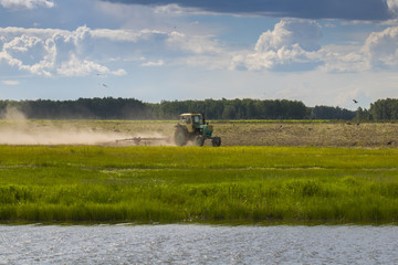 Old tractor harvests