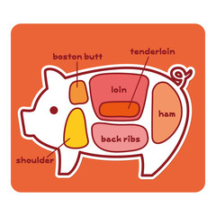 Obraz premium 豚肉の部位（英語）