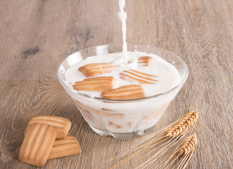 filling the milk of the biscuit bowl