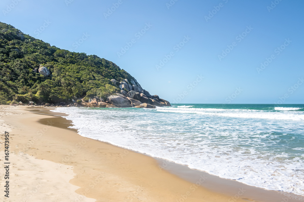 Wall mural Brava Beach - Florianopolis, Santa Catarina, Brazil