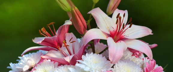 Colorful lily bouquet isolated.