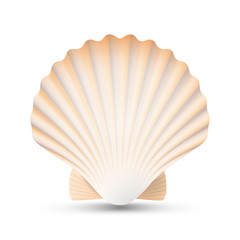 Scallop Seashell Vector. Beauty Exotic Souvenir Scallops Shell Isolated On White Background Illustration © PikePicture