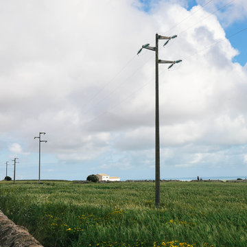 Power lines in  green field