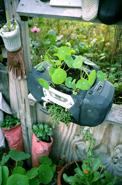 Old tape recorder used as flower pot