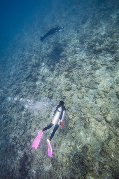 scuba diving with manta ray