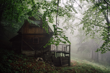 Wooden cabin in the misty forest