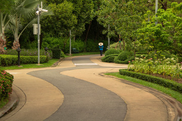 walk way in the park