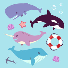 Naklejka premium vector blue whale, sperm whale, narwhal and killer whale set