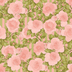 seamless floral ornament with roses in pink and green color on striped background