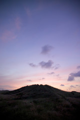 Heather greased dunes - 167482703