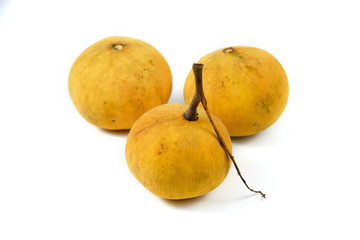 Santol on white background.