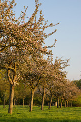 Paysage campagne 222