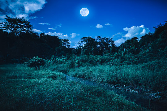 Bright full moon above wilderness area in forest, serenity nature background.