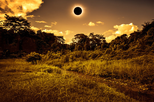 Scientific natural phenomenon. Total solar eclipse glowing on sky in forest. Sepia tone.