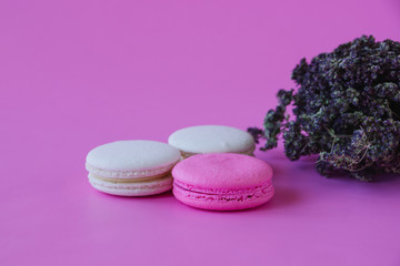 Colorful macaroons and bouquet of lavender on pink background