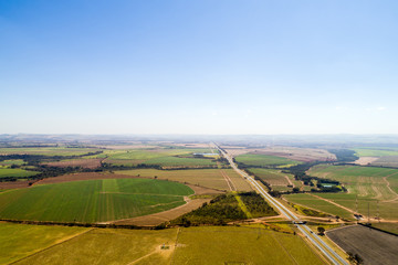 Sugar Cane Field in Brazil