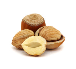 Hazelnut isolated on white