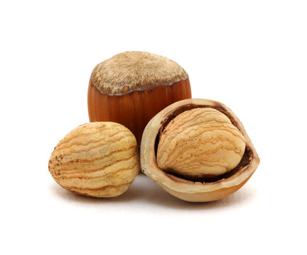 Closeup of hazelnuts