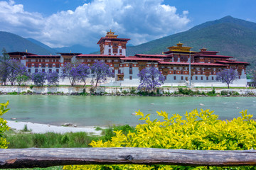 Obraz premium Punakha Dzong Front 