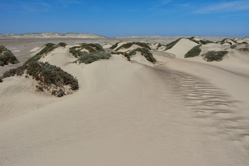 Namibia skeleton coast