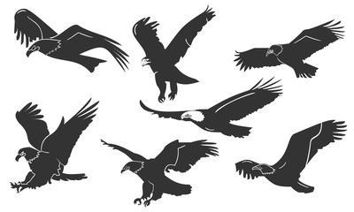 the eagle silhouette set