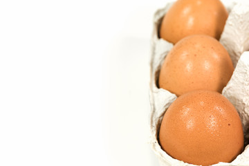 cardboard egg box with brown eggs isolated on white background