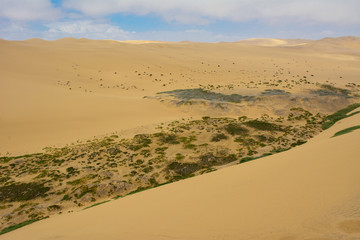 Namibia Walvis Bay namib desert