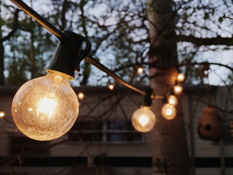 String of lights in dark campground