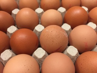 Eggs from chicken farm in the package