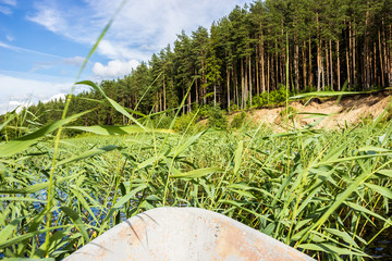 An old wooden fishing boat sailing through cane at a lake
