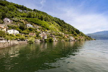 Fototapeta premium The houses of Cannero Riviera on Lake Maggiore - Cannero Riviera , Lake Maggiore, Lombardy, Italy, Europe