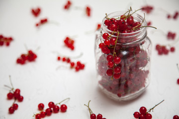 Red currant