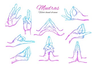 Vector hand drawn set of 9 mudras. Isolated on white. Yoga. Spirituality