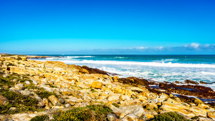 The rocky shoreline of the Atlantic Ocean between Cape of Good Hope and Platboom Beach in the Cape of Good Hope Nature Reserve in the Cape Peninsula of South Africa