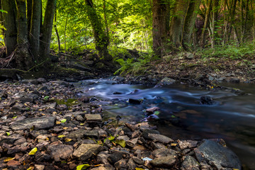 Bachlauf im Hunsrück, Deutschland