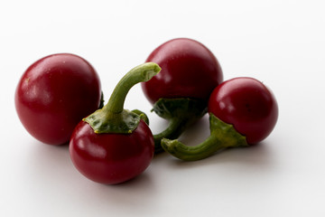PEPER Besler's Cherry