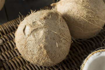 Raw Organic White Coconuts