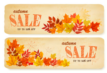 Set of two autumn sale banners with colorful leaves and berries. Vector