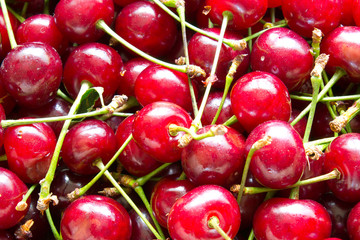 cherry background