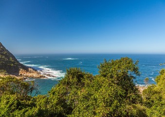 Rain Forest on part of the Otter Trail at the Indian Ocean