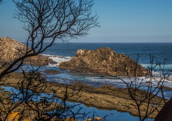 Landscape of part of the Otter Trail at the Indian Ocean